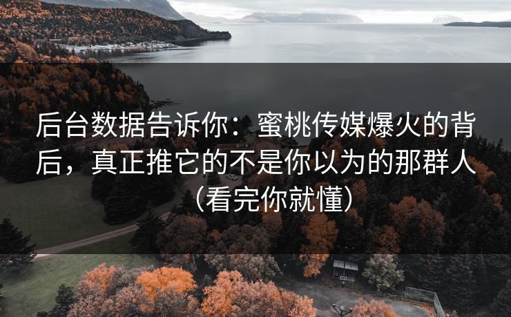 后台数据告诉你：蜜桃传媒爆火的背后，真正推它的不是你以为的那群人（看完你就懂）