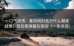 一口气讲透：蜜桃网封面为什么越来越像？背后是弹幕在驱动（一条讲透）