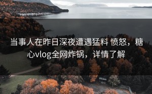 当事人在昨日深夜遭遇猛料 愤怒，糖心vlog全网炸锅，详情了解