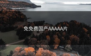 免免费国产AAAAA片