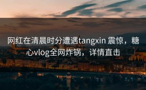 网红在清晨时分遭遇tangxin 震惊，糖心vlog全网炸锅，详情直击
