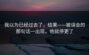 我以为已经过去了，结果——被误会的那句话一出现，他就停更了