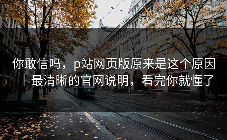 你敢信吗，p站网页版原来是这个原因｜最清晰的官网说明，看完你就懂了